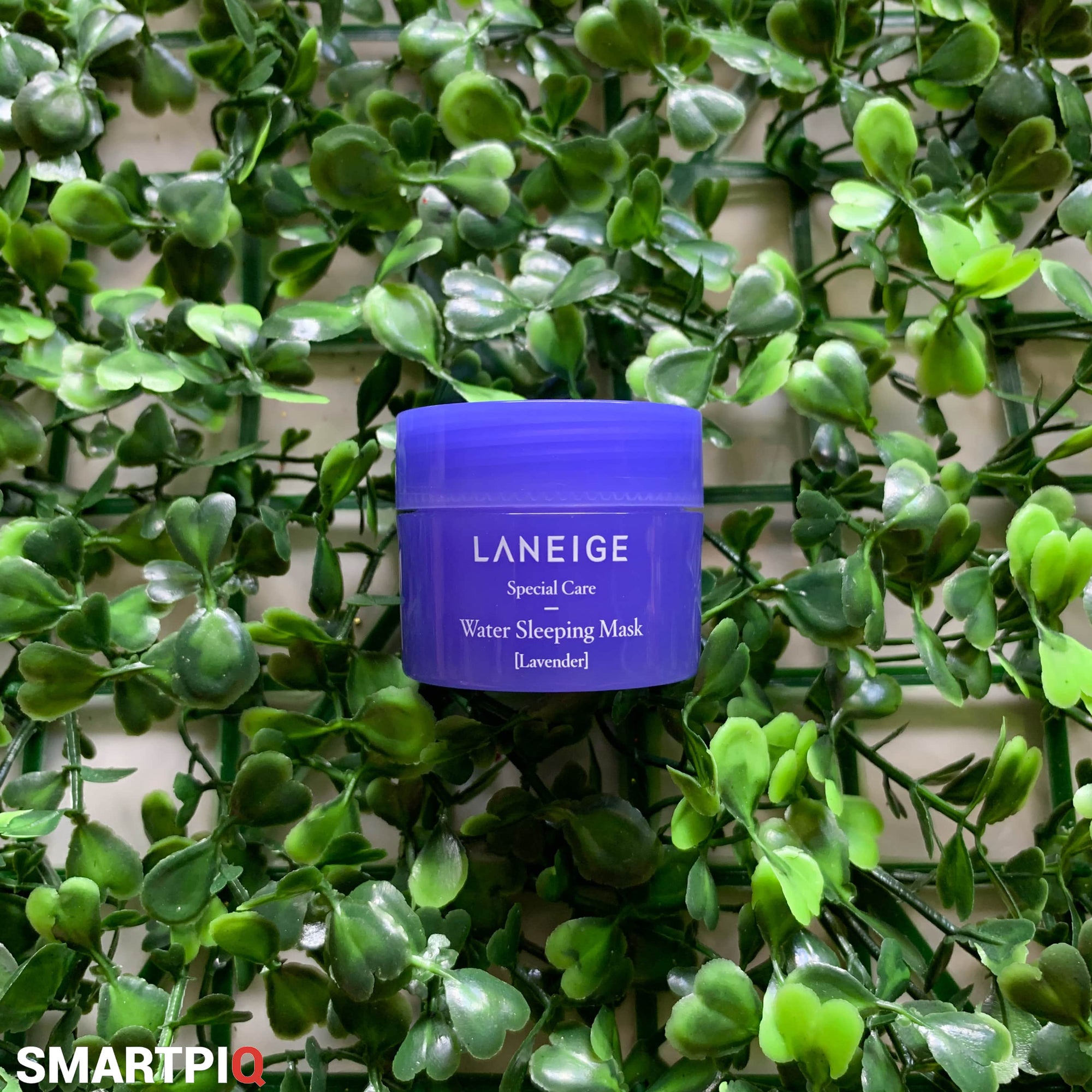 Laneige Water Sleeping Mask (Lavender)