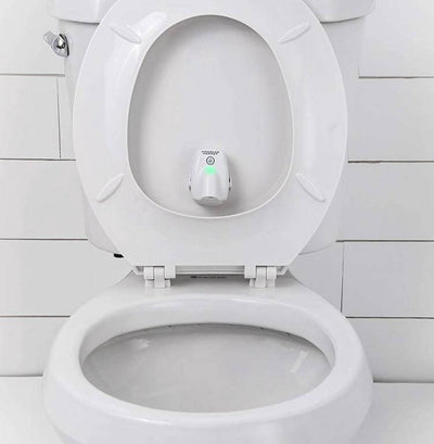 Toddler Potty Target Training